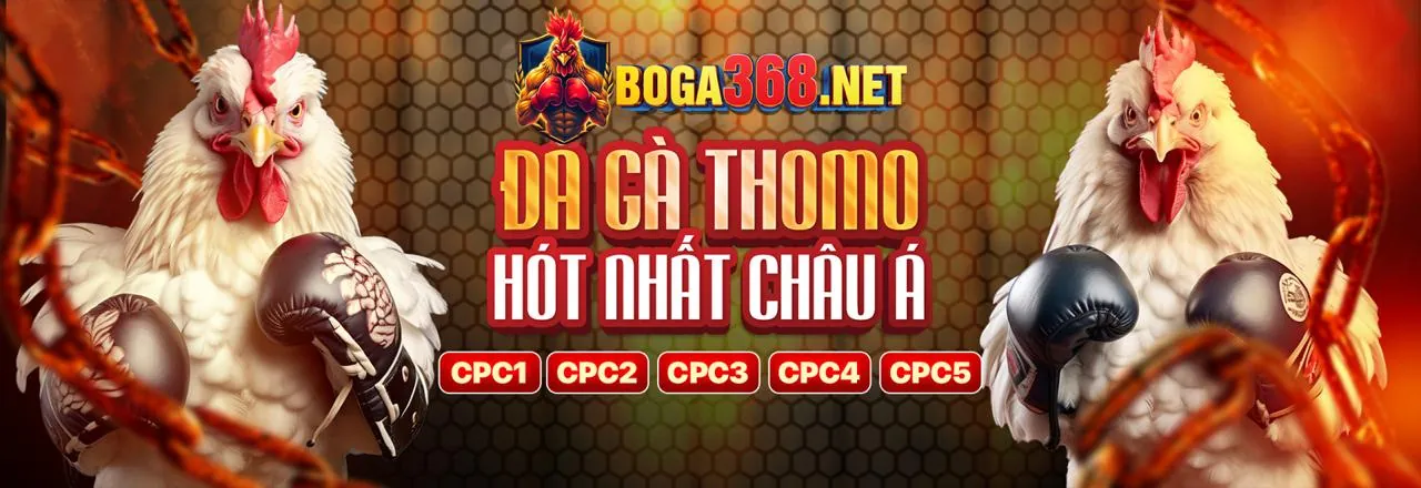 Đá Gà Fabet88 Chính Thức Trực Tuyến